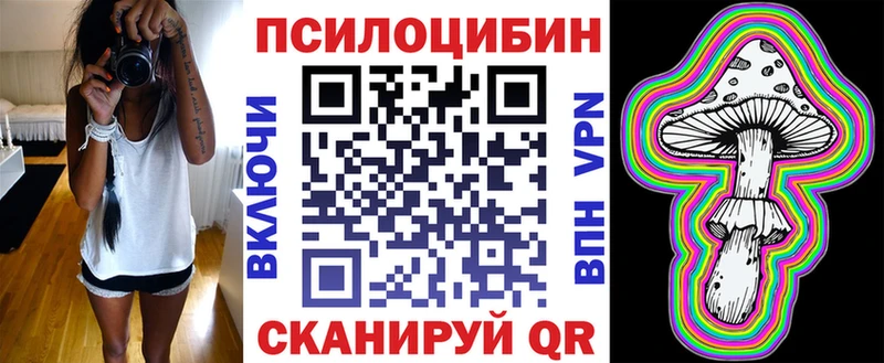 Псилоцибиновые грибы Cubensis  Тобольск 